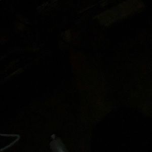 Meet your Posher, Shawn